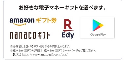 e_gift_densimoney_logo.jpg