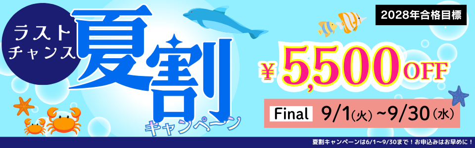 1.5年総合本科生／1.5年総合本科生Plus | 公務員｜資格の学校TAC[タック]