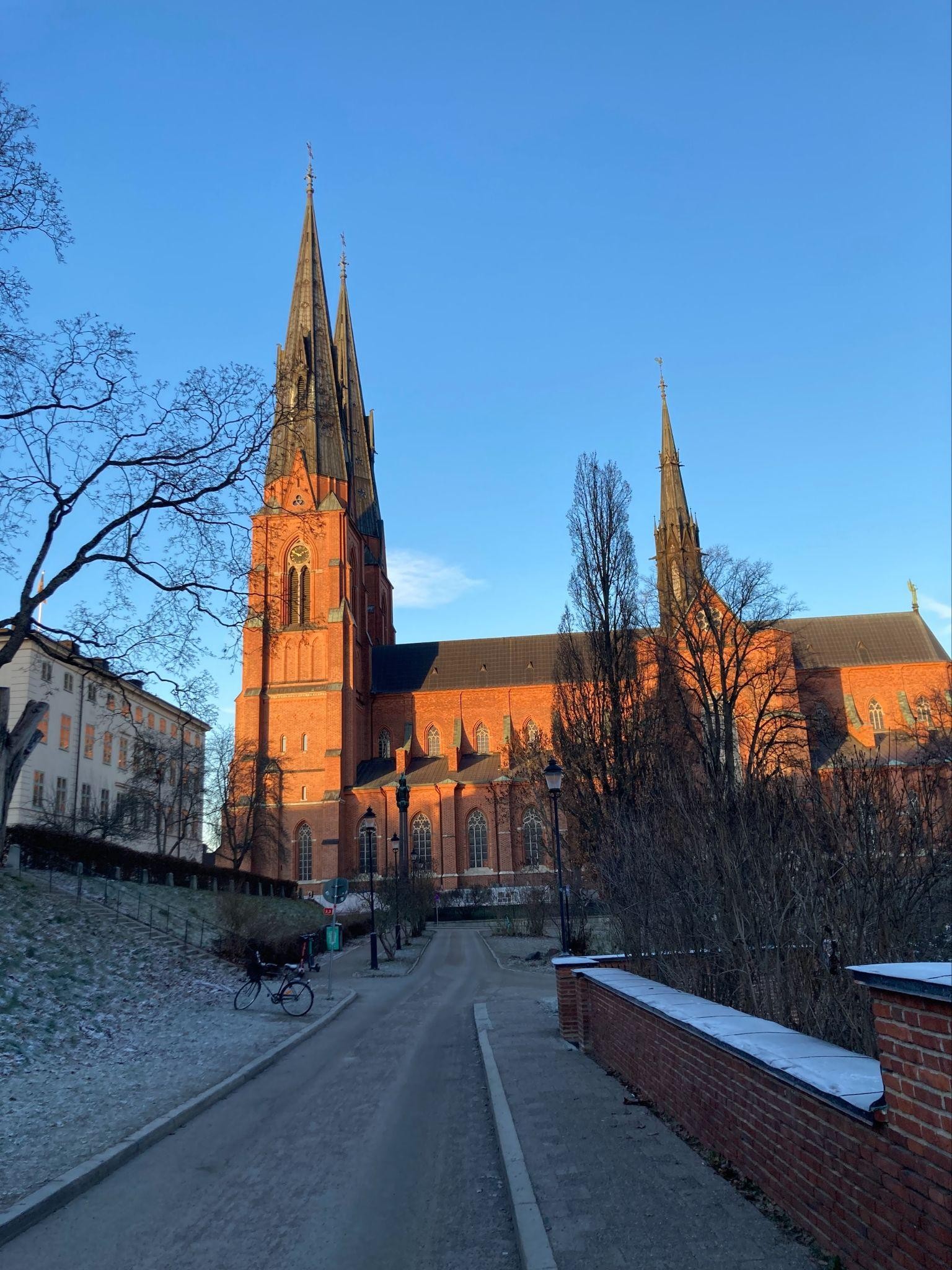 diplomat-1-2025kaigai25_1.jpg diplomat-1-2025kaigai25_1.jpg