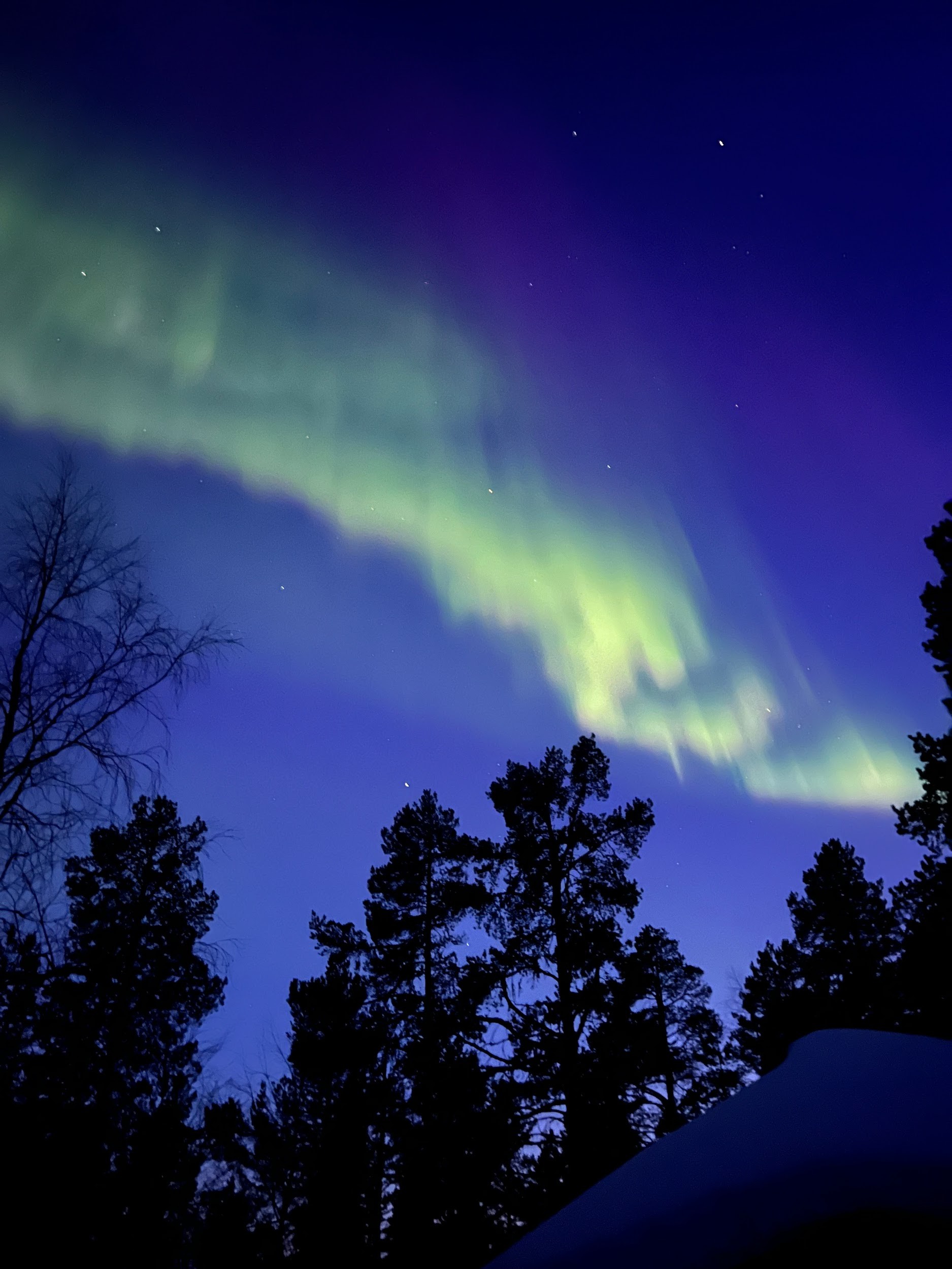 diplomat-1-2025kaigai25_4.jpg diplomat-1-2025kaigai25_4.jpg