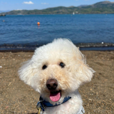 advisor_sougou_2501.png advisor_sougou_2501.png