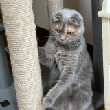 advisor_sougou_2504.png advisor_sougou_2504.png